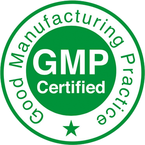 Logo Gmp